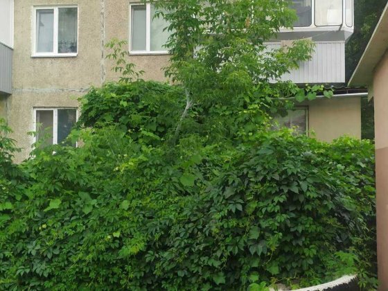 Продам  квартиру  підходить під бізнес   з окремим входом у центрі Васильков