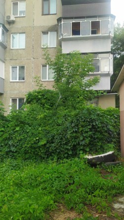 Продам  квартиру  підходить під бізнес   з окремим входом у центрі - фото 1