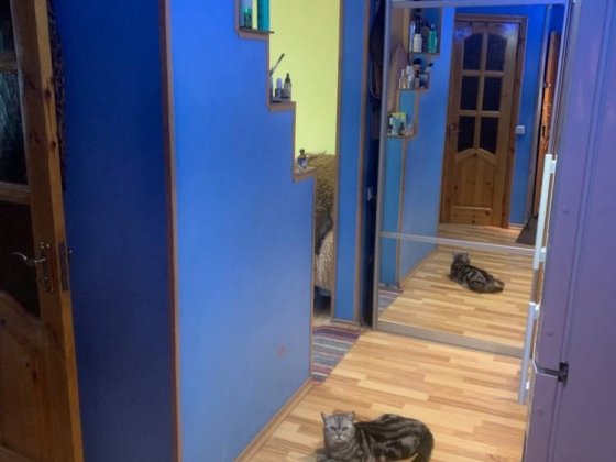 Дам на виплату або здам в оренду  чи обміняю Владимир