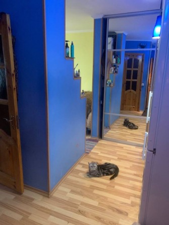 Дам на виплату або здам в оренду  чи обміняю - фото 1