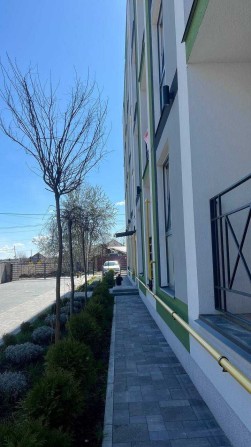 1к з максимальним наповненням, ДЕРЖПРОГРАМИ - фото 1