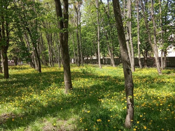 Продам или обменяю 1 ком. квартиру на домик Знаменка