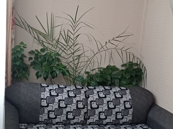 Продам квартиру-студію від власника.Парусна 20 Чорноморськ