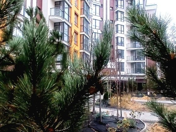 1к біля Парку з індГАЗопаленням, з початковим ремонтом. 4 пов./ліфт Гостомель