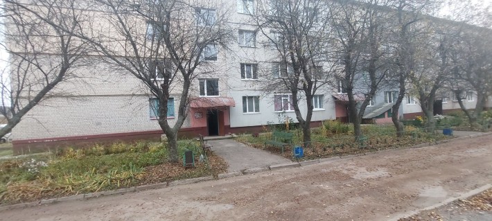 Продам большую 1к.кв в Солоницевке - фото 1