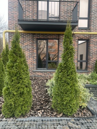 Власник. Квартира 3-кім. 69м2 з великою терасою. Озерна - фото 1