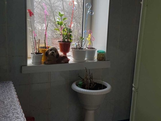 Продам 1 комнатную квартиру Верхнеднепровск