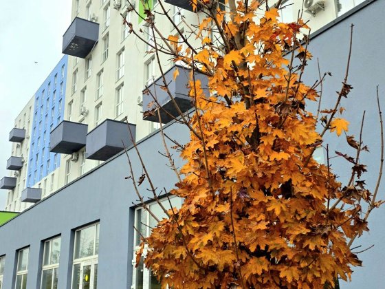 Продаж 2х кім квартири в стадії ремонту Зубра