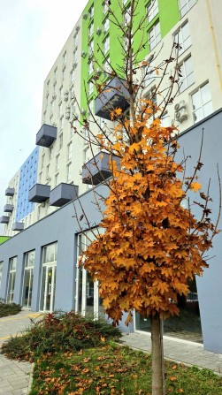 Продаж 2х кім квартири в стадії ремонту - фото 1