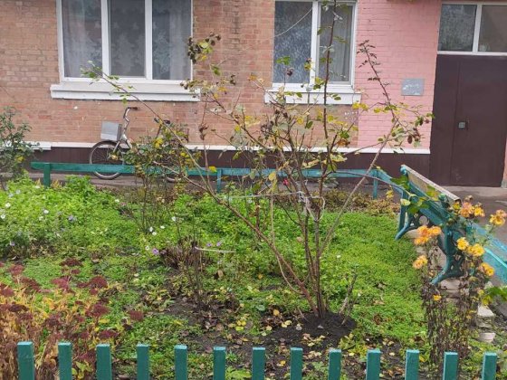 Квартира в Карлiвцi Карловка