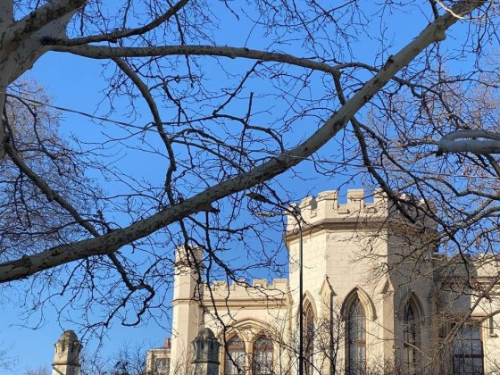 Продам квартиру, можна під бізнес Березне