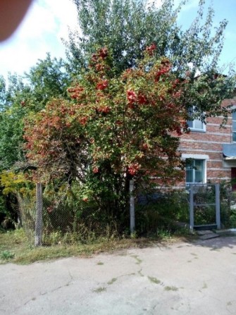 Продам квартиру у м. Батурин. Торг! (В оренду не здається) - фото 1