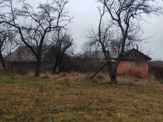 Дом в с.Заболотье, Шосткинский район Шостка