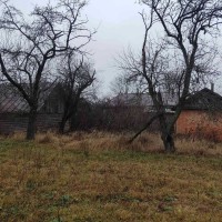 Дом в с.Заболотье, Шосткинский район Шостка