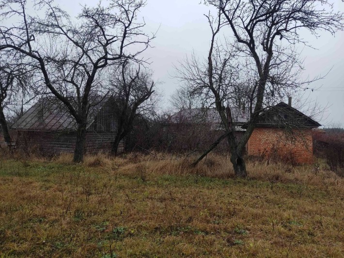 Дом в с.Заболотье, Шосткинский район - фото 1