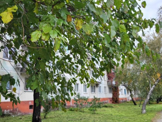 Срочно 2 ком кв в центре недорого Кременчук