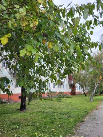 Срочно 2 ком кв в центре недорого - фото 1