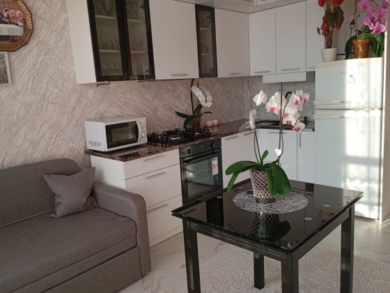 Гаряча пропозиція на однокімнатну з ремонтом. Без Комісії! Буча