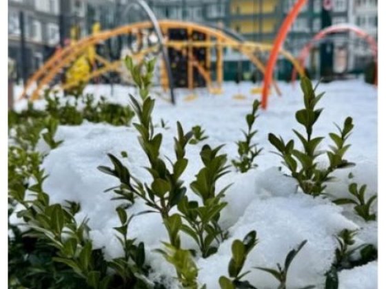 Однокімнатна на низькому поверсі мінімальне оформлення Буча