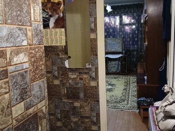 2 кімнатна квартира в Війсковому містечку 33 Кривой Рог