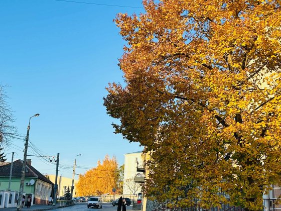Простора двокімнатна квартира в центрі Луцька, вулиця Б. Хмельницького Луцк