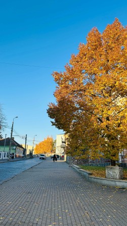 Простора двокімнатна квартира в центрі Луцька, вулиця Б. Хмельницького - фото 1