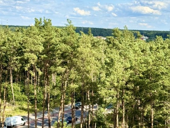 Євро-2 квартира з ремонтом в Ірпені без % Ірпінь