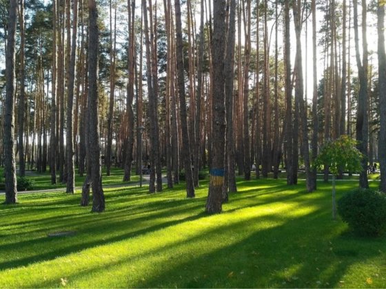 Продаж однокімнатної квартири навпроти Центрального парку Ірпінь