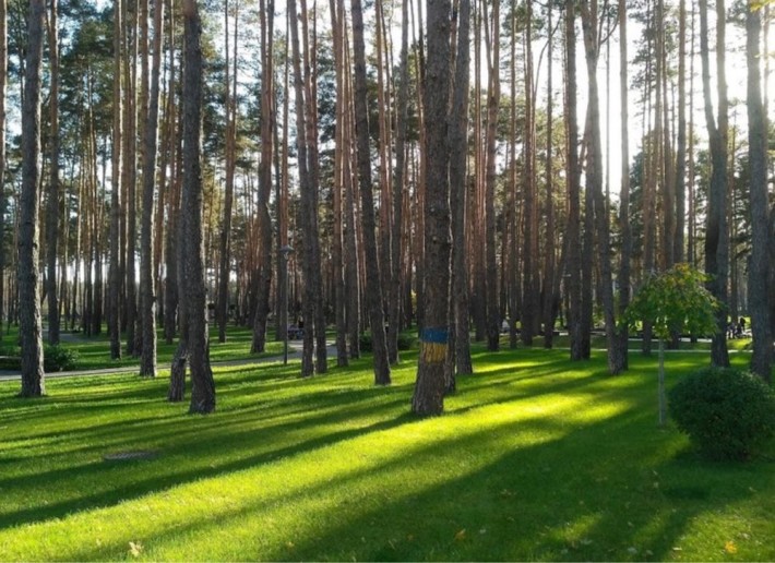 Продаж однокімнатної квартири навпроти Центрального парку - фото 1