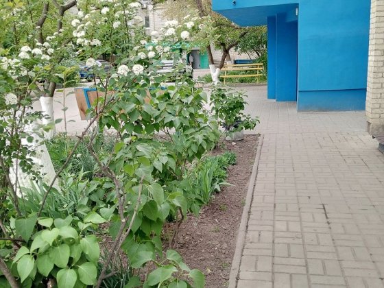 1 к. Заливна з меблями/технікою Суми