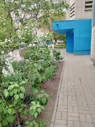 1 к. Заливна з меблями/технікою - фото 1