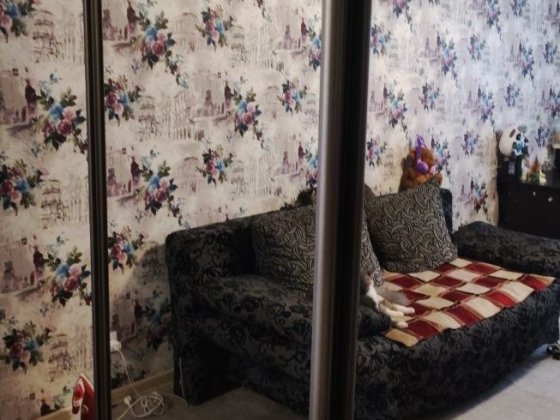 Супер модное желье Сумы