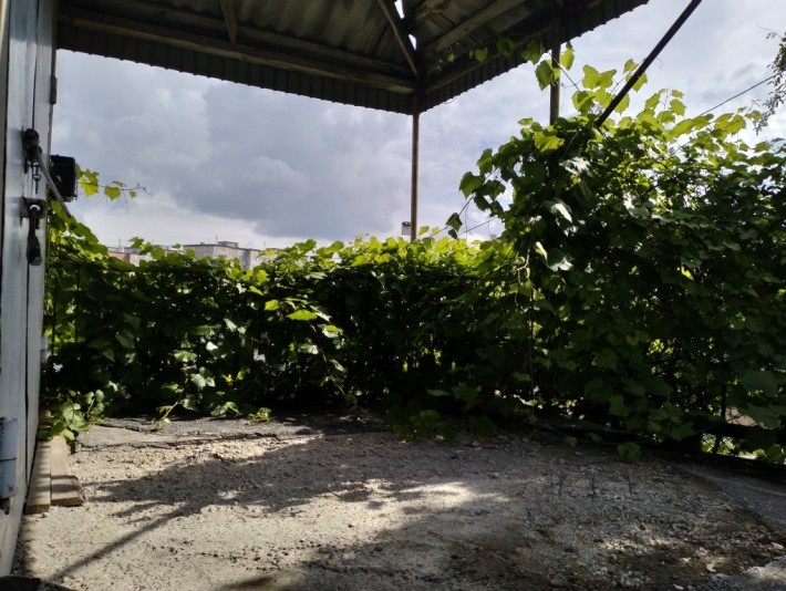 Оренда гаража район Ювілейний - фото 1