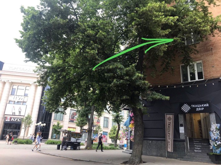 2к САМИЙ ЦЕНТР (ЦУМ) Власник Середній поверх 3(з 4) - фото 1