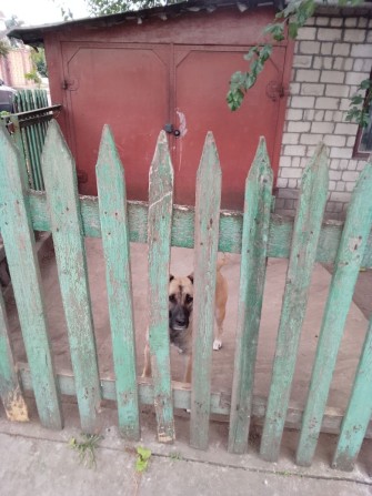 Сдам металлический гараж. - фото 1