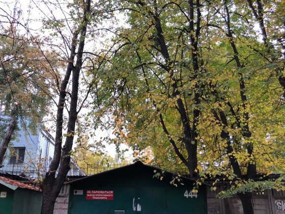 Сдам гараж на Черемушках, Ак. Филатова Одесса