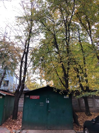 Сдам гараж на Черемушках, Ак. Филатова - фото 1