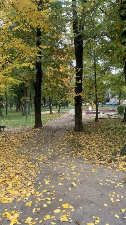 Продается 3 ком.кв. по ул. Сечени - фото 1