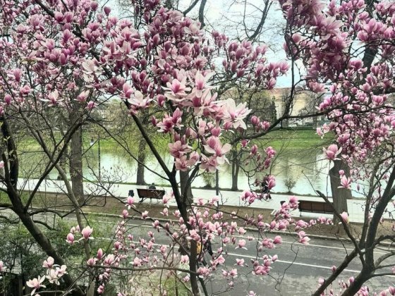 Екслюзивний продаж. Набережна Незалежності. Центр міста Ужгород