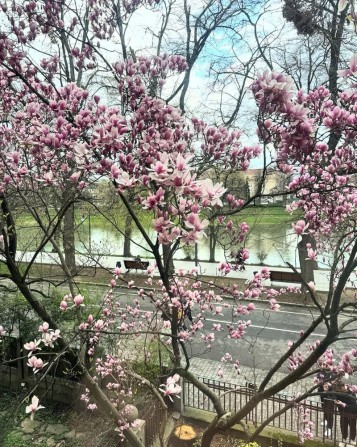 Екслюзивний продаж. Набережна Незалежності. Центр міста - фото 1