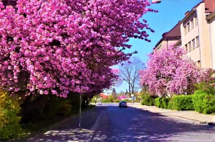 Квартира в історичному центрі. Мала Рафанда. - фото 1
