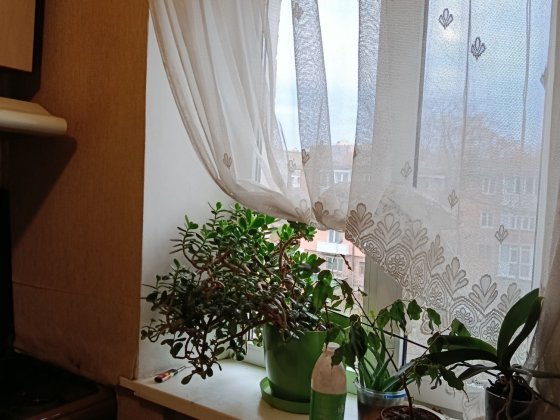 Продаж,3 кімнатна квартира,гарний стан,цегляний будинок Винница