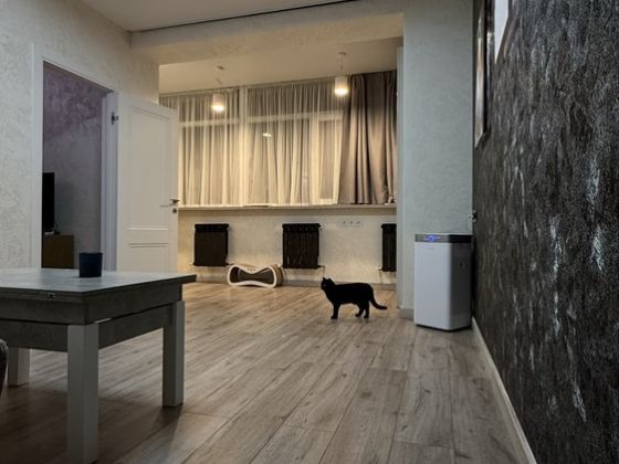 Квартира (автономна) Дніпро