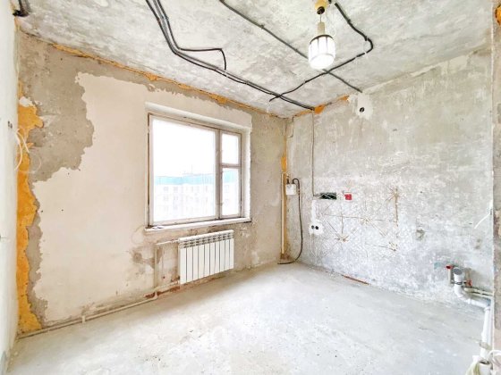 1 кім ЧЕШКА в висотці КАМ'ЯНСЬКИЙ-ЛОМІВСЬКИЙ (Фрунзенський) (717474) Днепр