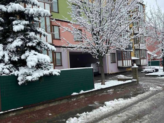 (3)  Продам 2-ох кімнатну квартиру на Старому місті р-н Авторинку 0691