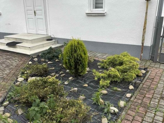 Оренда будинку відстань м. Стрий 3 км . Стрий