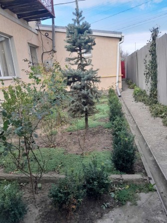 Оренда будинку для робітників в с. Княжичі Броварського району - фото 1