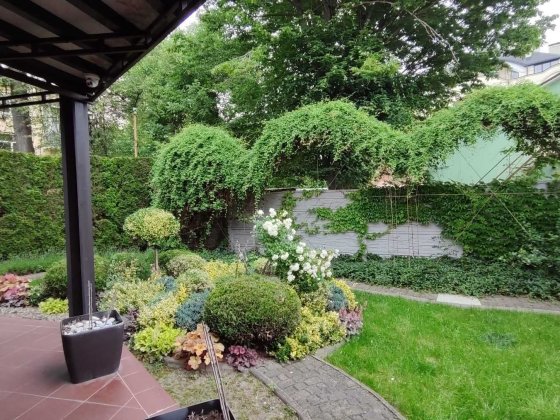 Оренда будинку в  ЦЕНТРІ Чернівців Черновцы