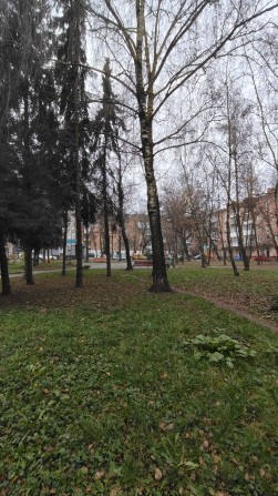 Продам квартиру у центрі! - фото 1