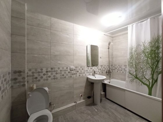 Однокімнатна квартира Старе місто Винница